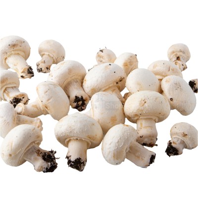 Шампиньоны свежие 500 г - купить в Емельяновке